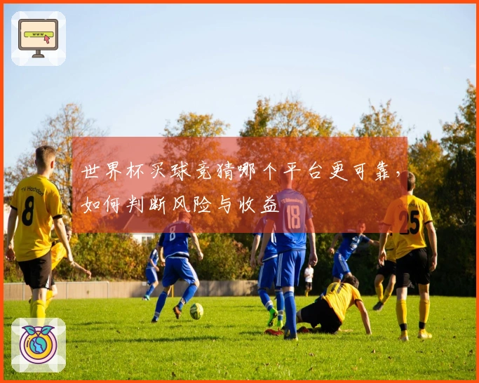 世界杯买球竞猜哪个平台更可靠，如何判断风险与收益