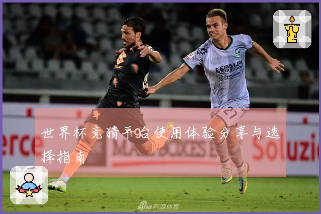 世界杯竞猜平台使用体验分享与选择指南
