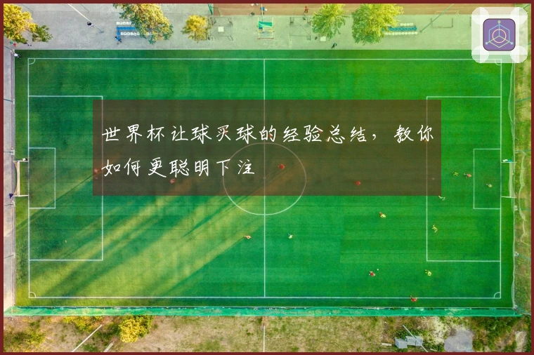 世界杯让球买球的经验总结，教你如何更聪明下注