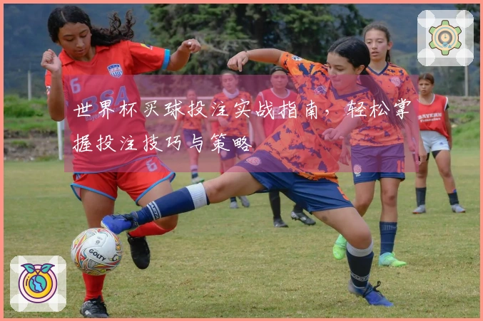 世界杯买球投注实战指南，轻松掌握投注技巧与策略